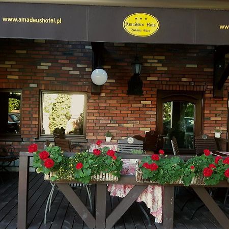 Amadeus Hotel Zielona Gora Extérieur photo